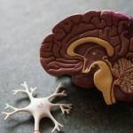 6 Ways to Minimise Unconscious Bias