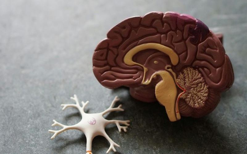 6 Ways to Minimise Unconscious Bias